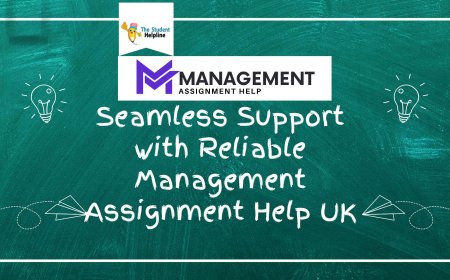 Seamless Support with Reliable Management Assignment Help UK