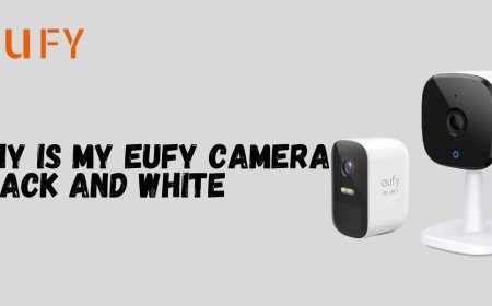 Why is My Eufy Camera Black And White?