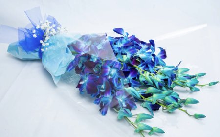 Why Flowers Matter: The Emotional Impact of Sympathy Arrangements