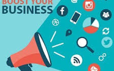 Digital Marketing Company vs. Agency: What’s Right for Your Business?