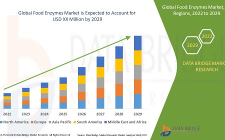 Food Enzymes Market Size & Forecast: Functional Ingredients Driving Food Innovation