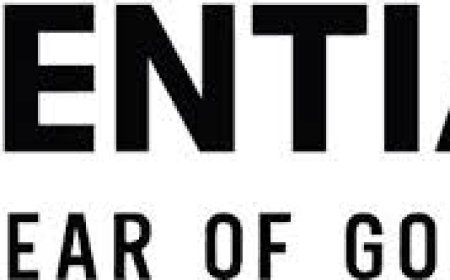 Why an Essential Hoodie Should Be in Every Closet