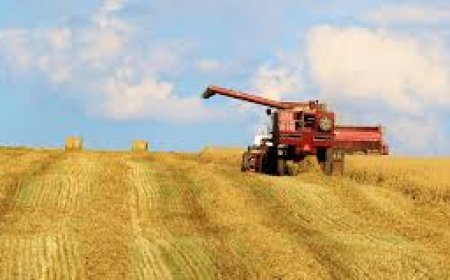 UK Farm Fuel: Powering the Nation’s Agriculture