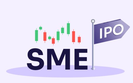 Step-by-Step Guide to SME IPO with the Help of Consultants