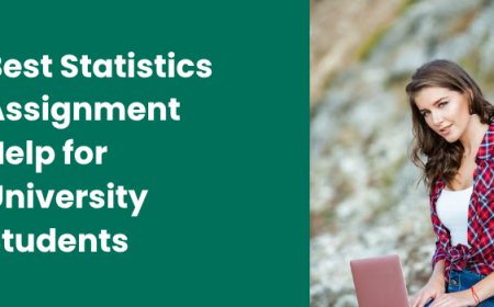 Best Statistics Assignment Help for University Students