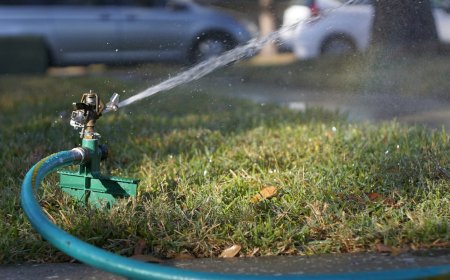 Fixing Low Water Pressure in Your Sprinklers (Without Guessing)