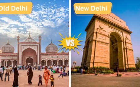 Old Meets New: A Cultural Walk Through Delhi’s Past and Present