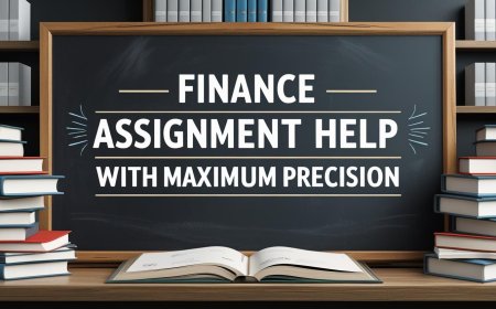 Finance Assignment Help With Maximum Precision