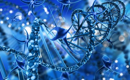 Amniotic Tissue Allograft: A Natural Solution for Faster Healing