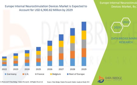 Europe Internal Neurostimulation Devices Market: Opportunities and Forecast to 2029