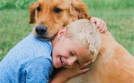 7 Beautiful Ways to Fill a Pet Memorial Frame & Keep Their Memory Alive