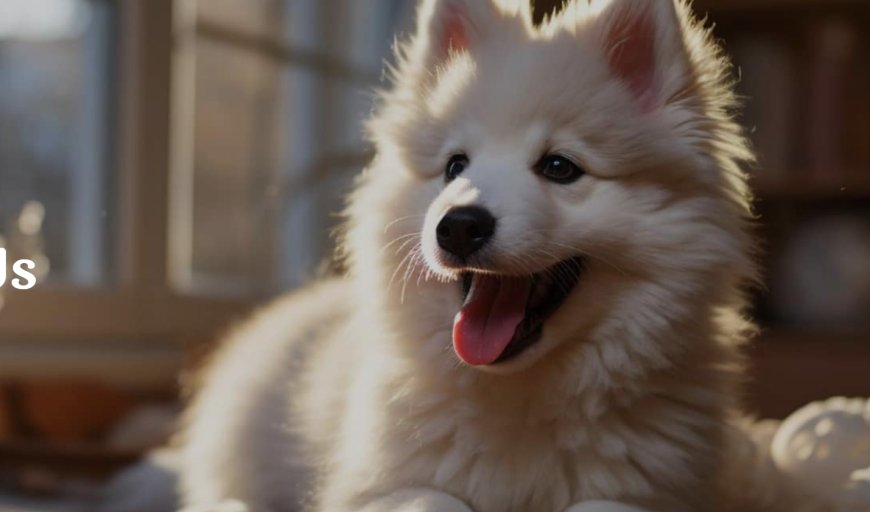 Healing Pets Naturally: How Cold Laser Therapy Relieves Pain and Boosts Recovery